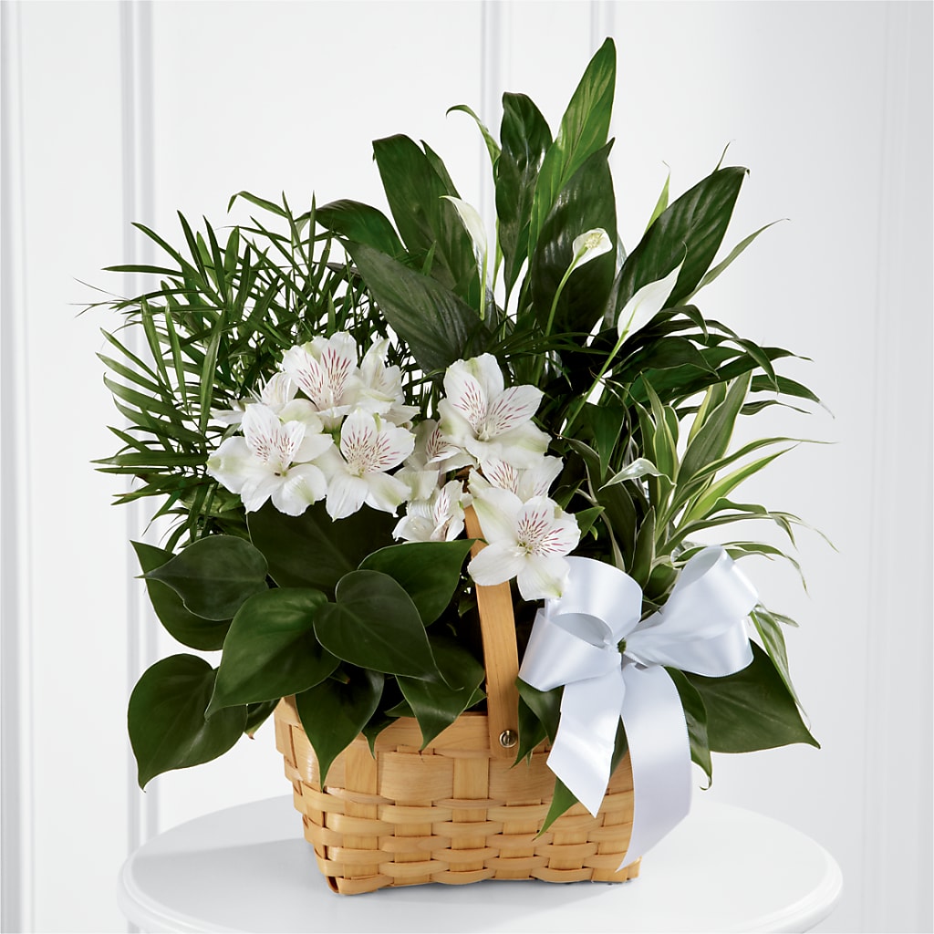 Peace & Serenity Dishgarden – Netcong Village Florist, Netcong NJ