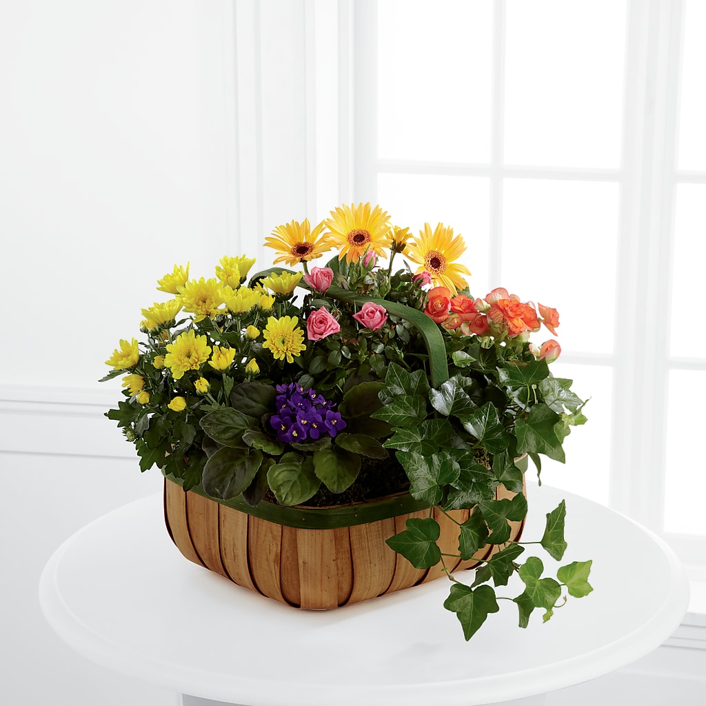 Gentle Blossoms Basket – Netcong Village Florist, Netcong NJ