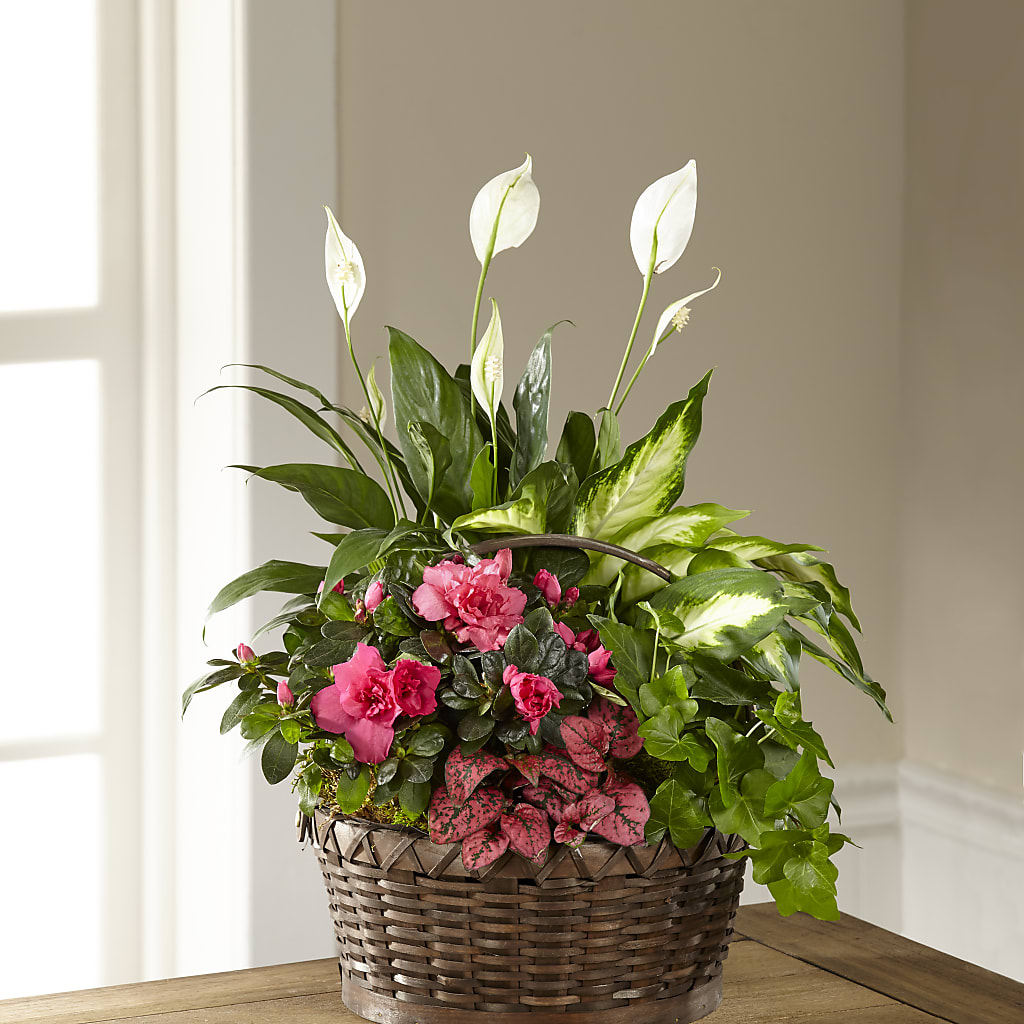 Dream in Pink Dishgarden – Netcong Village Florist, Netcong NJ