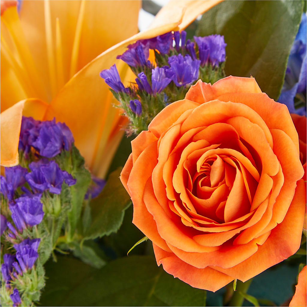 Radiant Citrus Box Bouquet – Netcong Village Florist, Netcong NJ