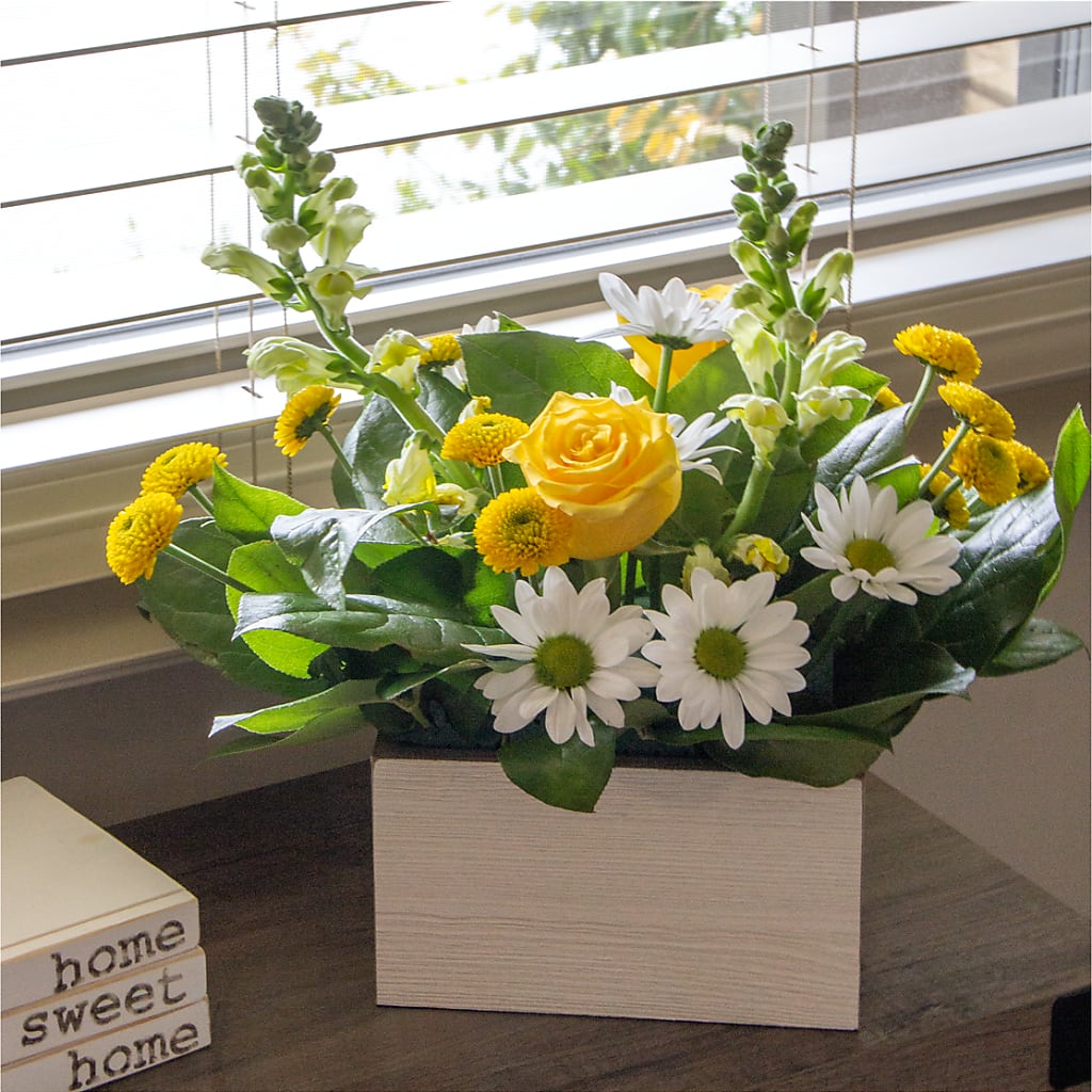 Sun Salutation Box Bouquet – Netcong Village Florist, Netcong NJ
