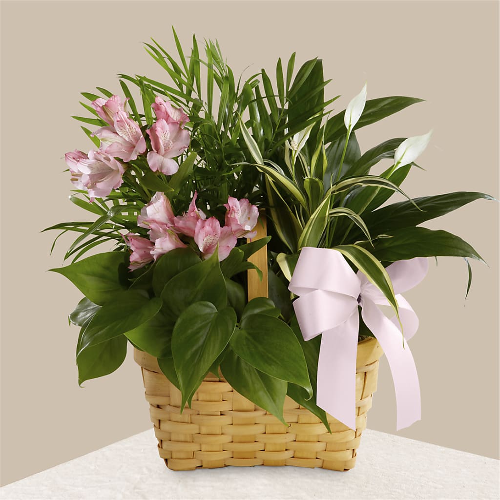 Living Spirit Dishgarden – Netcong Village Florist, Netcong NJ
