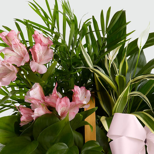 Living Spirit Dishgarden – Netcong Village Florist, Netcong NJ