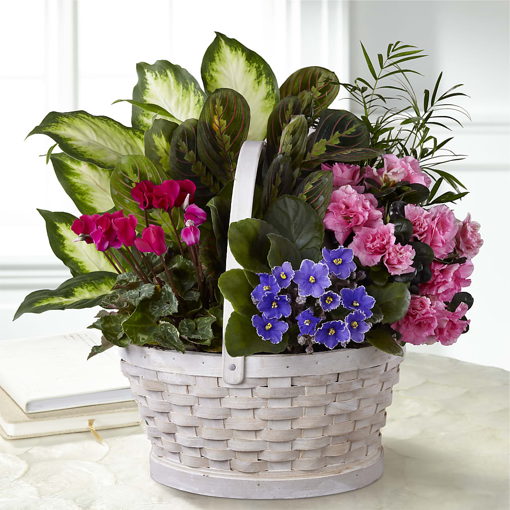 Peaceful Garden Planter – Netcong Village Florist, Netcong NJ
