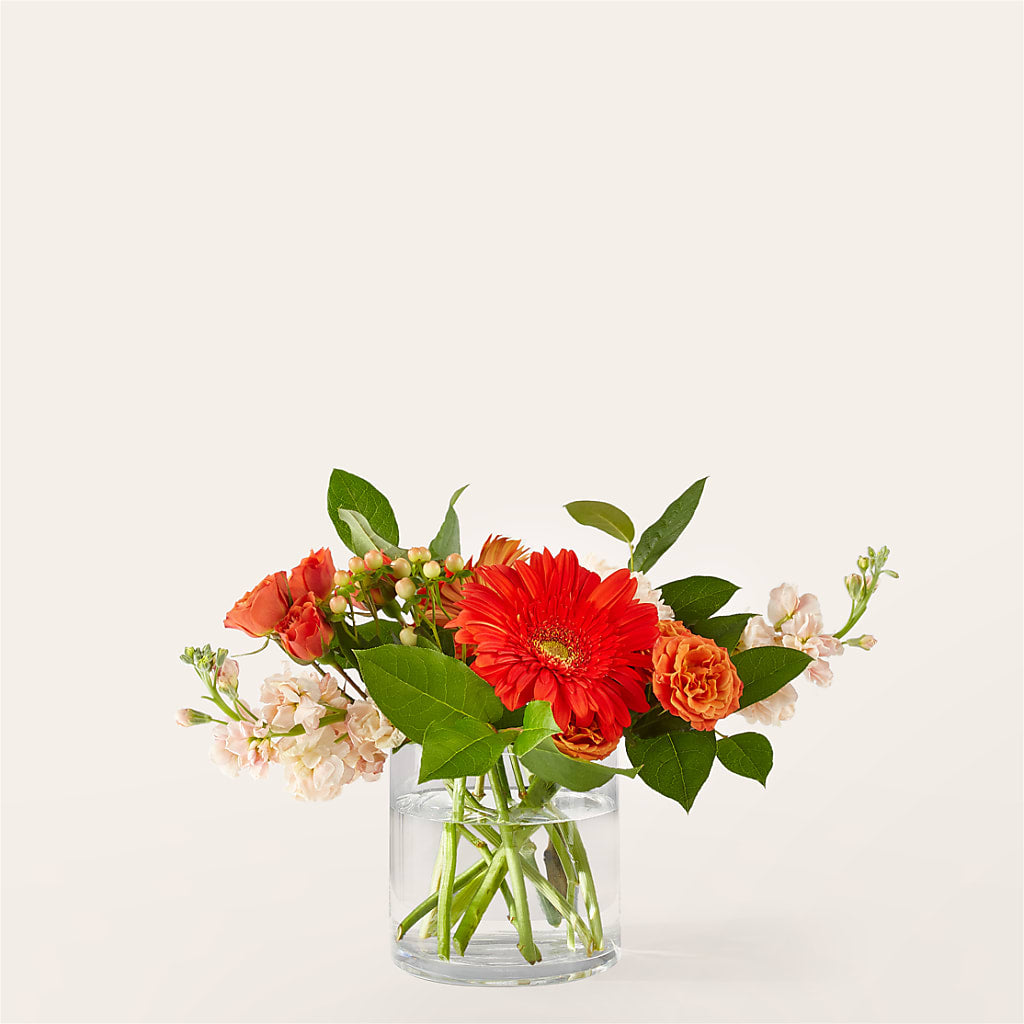 Paloma Please Bouquet – Netcong Village Florist, Netcong NJ
