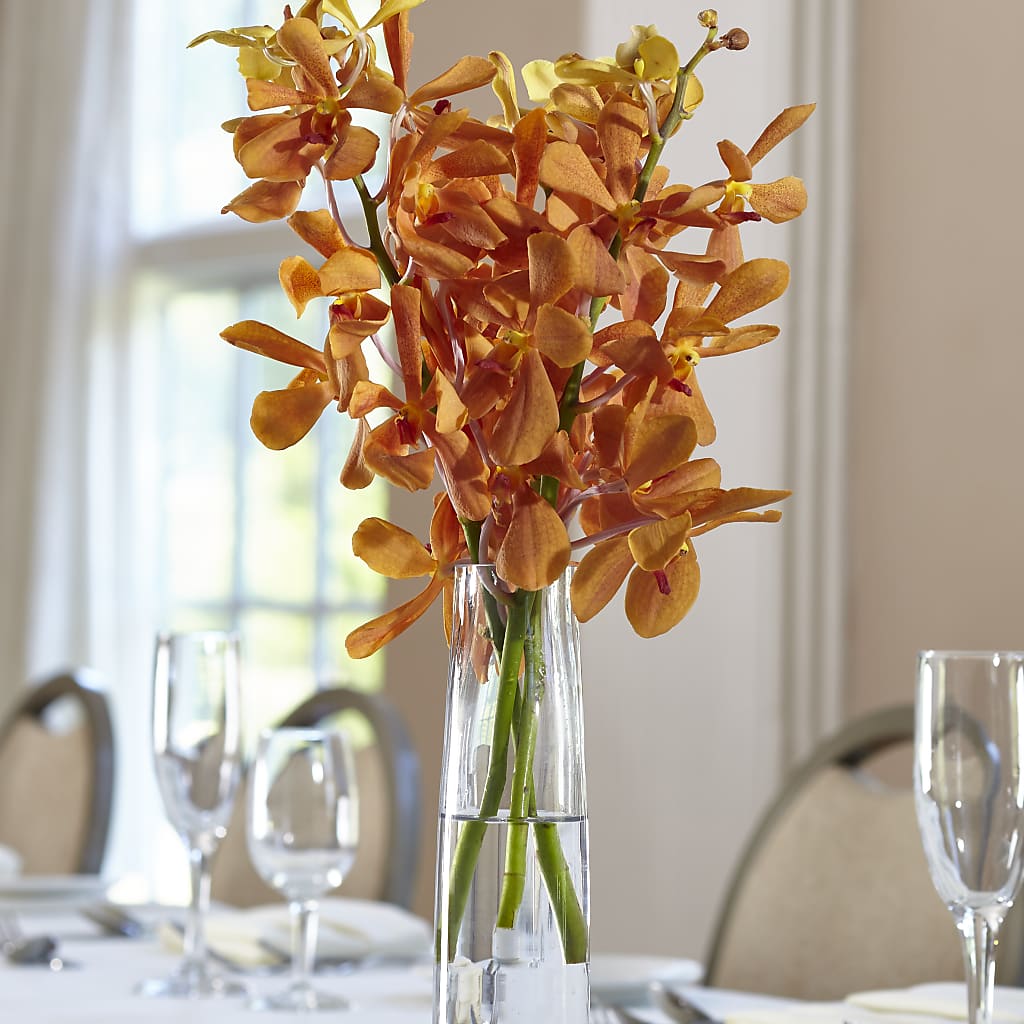Orange Mokara Bud Vase – Netcong Village Florist, Netcong NJ