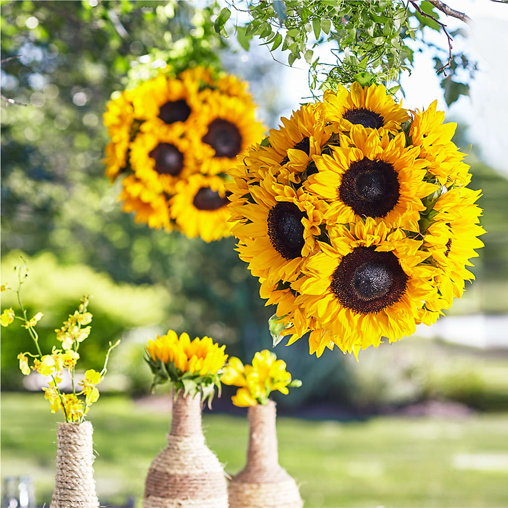 Sublime Garden Hanging Arrangement – Netcong Village Florist, Netcong NJ