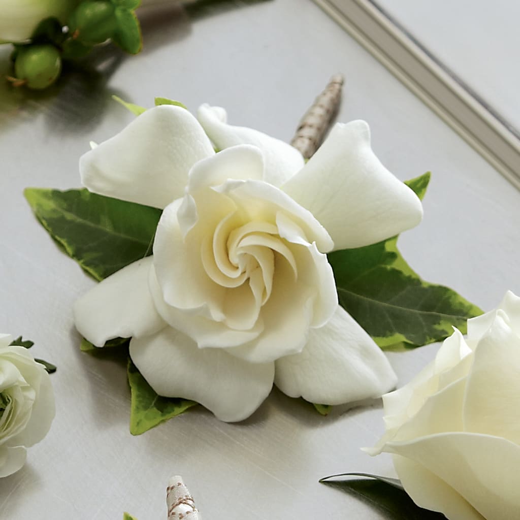 Gardenia Boutonniere – Netcong Village Florist, Netcong NJ