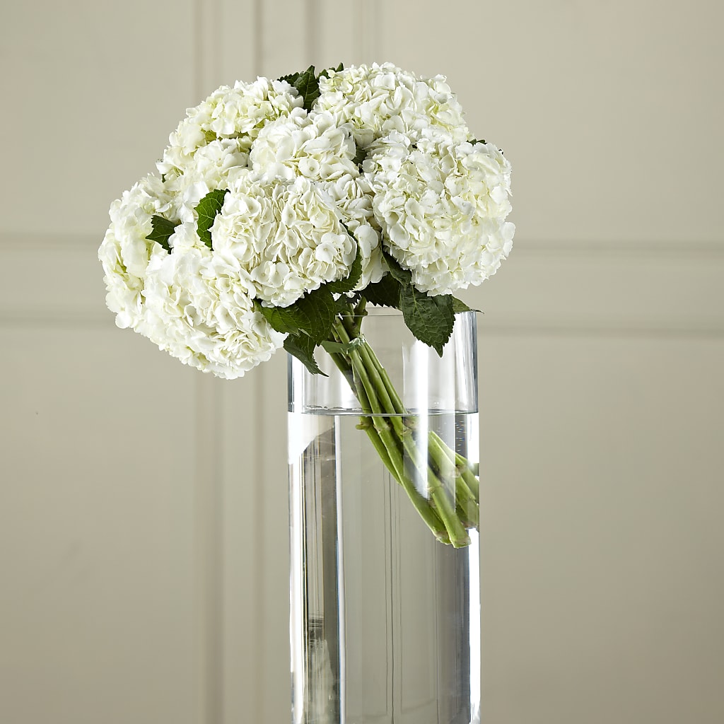 White Hydrangea Hand-Tied Bouquet – Netcong Village Florist, Netcong NJ