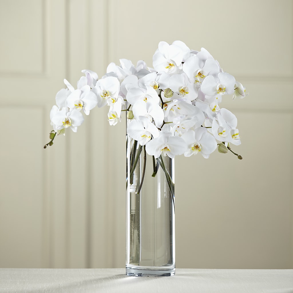 White Phalaenopsis Bouquet – Netcong Village Florist, Netcong NJ