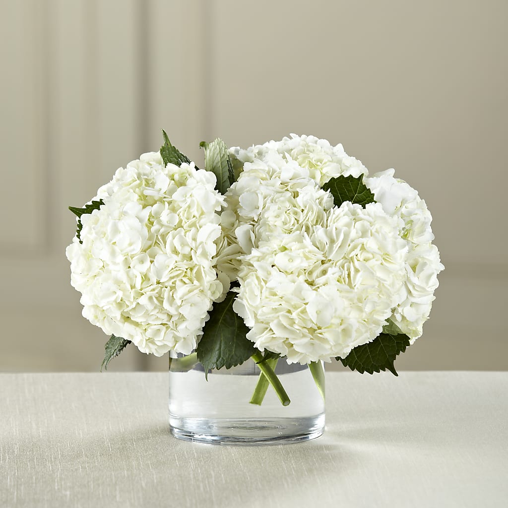 White Hydrangea Bouquet – Netcong Village Florist, Netcong NJ