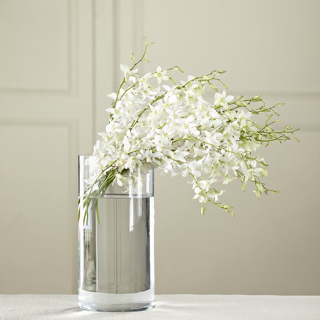 White Dendrobium Bouquet – Netcong Village Florist, Netcong NJ