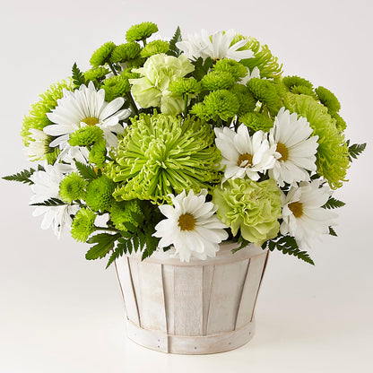 Lucky Charm Basket (Standard) –  Netcong Village Florist, Netcong NJ