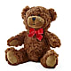 Adorable Plush Bear –  Netcong Village Florist, Netcong NJ