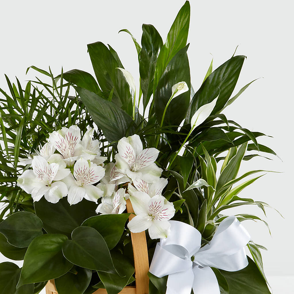 Peace & Serenity Dishgarden –  Netcong Village Florist, Netcong NJ