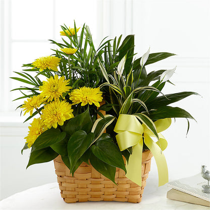 Loving Light Dishgarden –  Netcong Village Florist, Netcong NJ