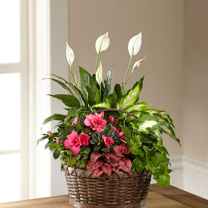 Dream in Pink Dishgarden –  Netcong Village Florist, Netcong NJ