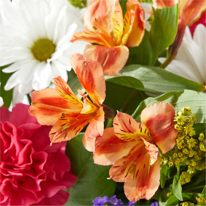 Oopsie Daisy Box Bouquet –  Netcong Village Florist, Netcong NJ