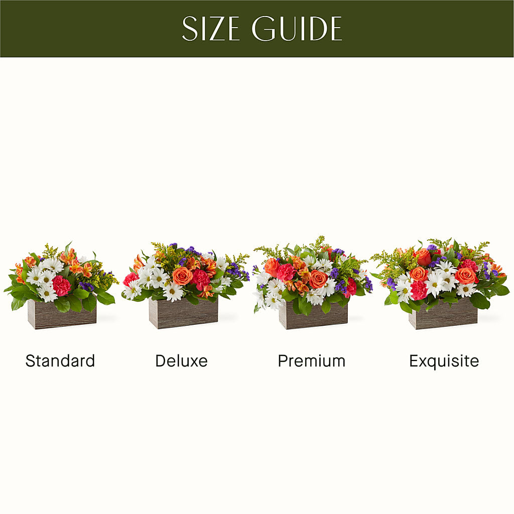 Oopsie Daisy Box Bouquet –  Netcong Village Florist, Netcong NJ