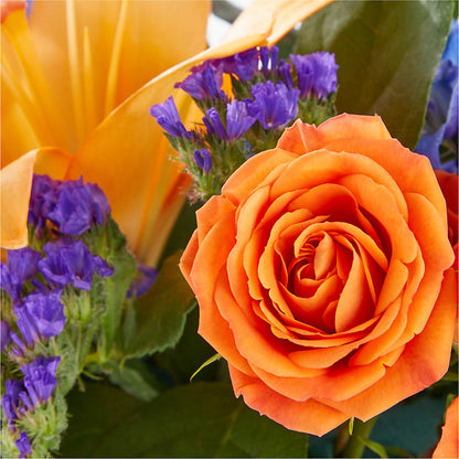 Radiant Citrus Box Bouquet –  Netcong Village Florist, Netcong NJ