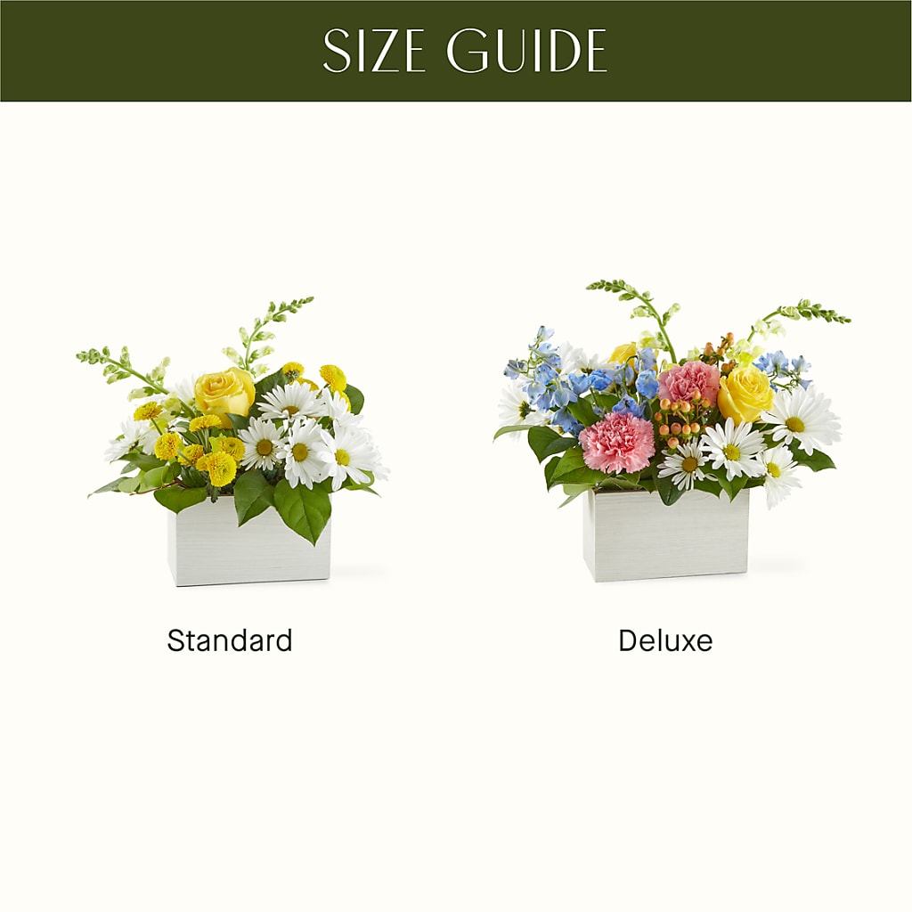 Sun Salutation Box Bouquet –  Netcong Village Florist, Netcong NJ