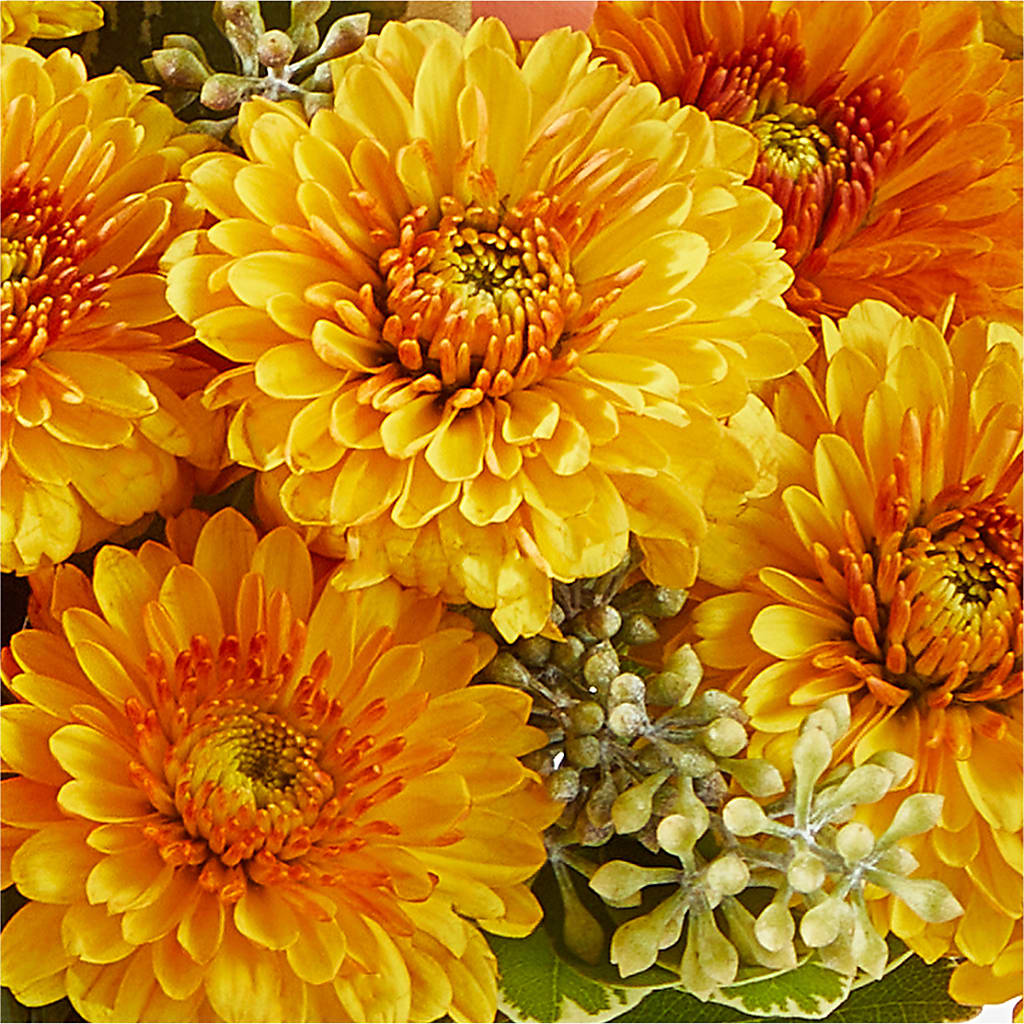 Peachy Pumpkin –  Netcong Village Florist, Netcong NJ