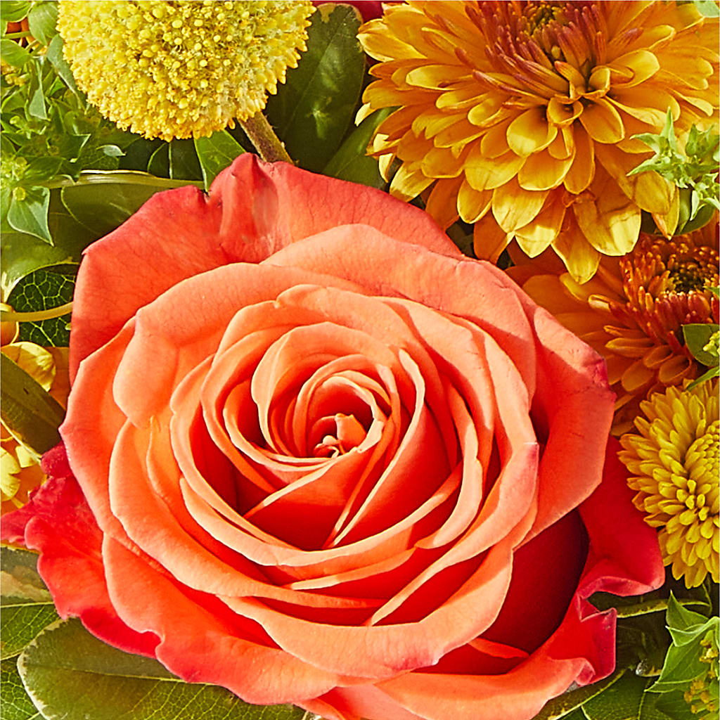 Gourdgeous Pumpkin –  Netcong Village Florist, Netcong NJ