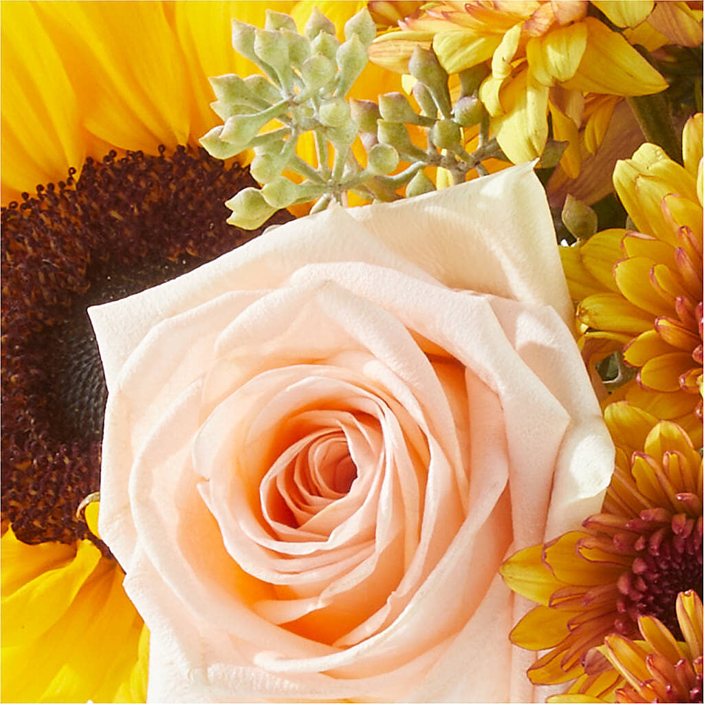 Pumpkin to Talk About Bouquet –  Netcong Village Florist, Netcong NJ