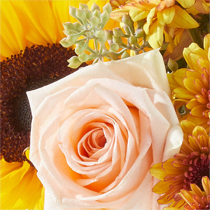 Pumpkin to Talk About Bouquet –  Netcong Village Florist, Netcong NJ