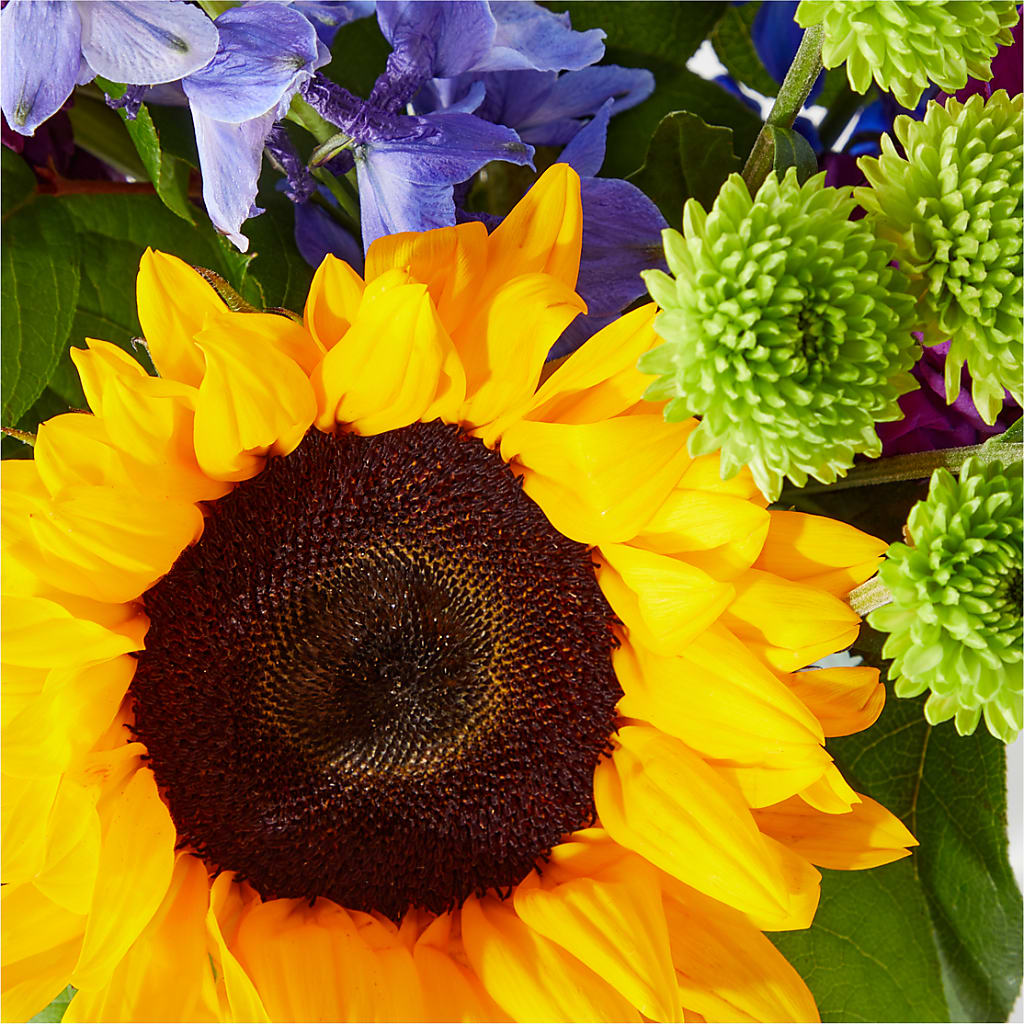 Catching Rays Bouquet –  Netcong Village Florist, Netcong NJ