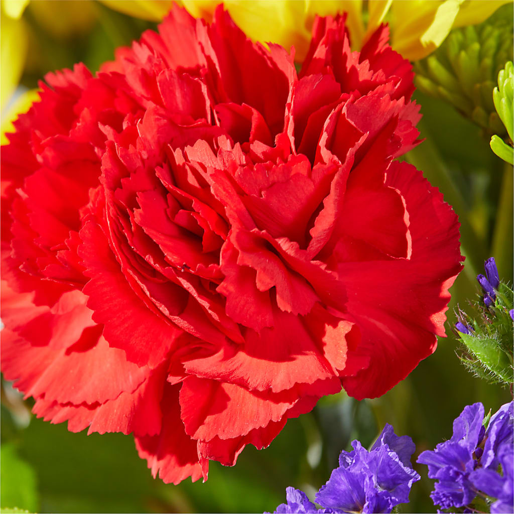 Brighter Days Bouquet –  Netcong Village Florist, Netcong NJ