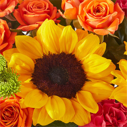 Sun-drenched Blooms Box Bouquet –  Netcong Village Florist, Netcong NJ