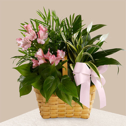 Living Spirit Dishgarden –  Netcong Village Florist, Netcong NJ