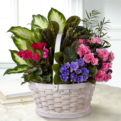 Peaceful Garden Planter –  Netcong Village Florist, Netcong NJ