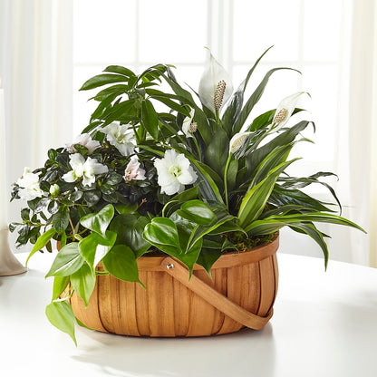 Serene Dishgarden –  Netcong Village Florist, Netcong NJ
