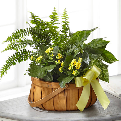 Always Dear Dishgarden –  Netcong Village Florist, Netcong NJ