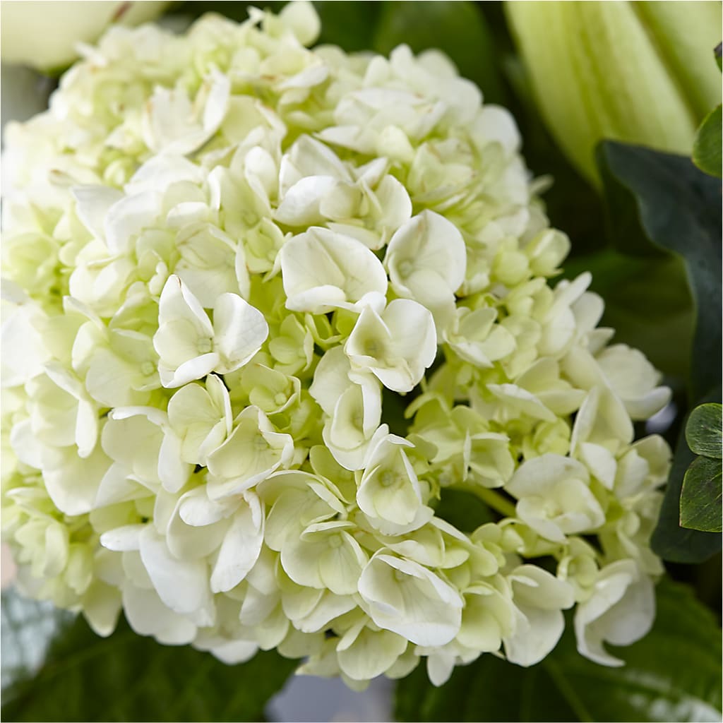 Classic Ivory – A Florist Original –  Netcong Village Florist, Netcong NJ