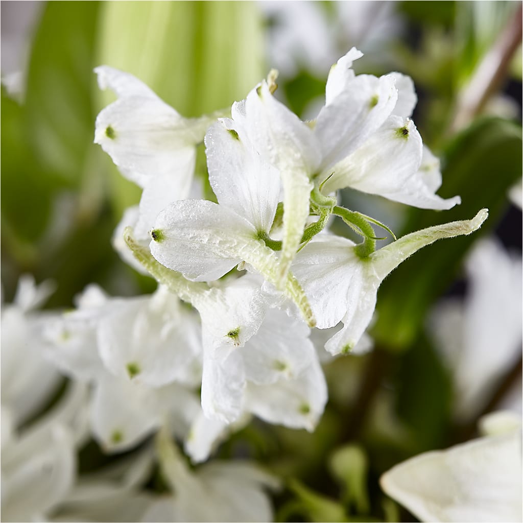 Classic Ivory – A Florist Original –  Netcong Village Florist, Netcong NJ
