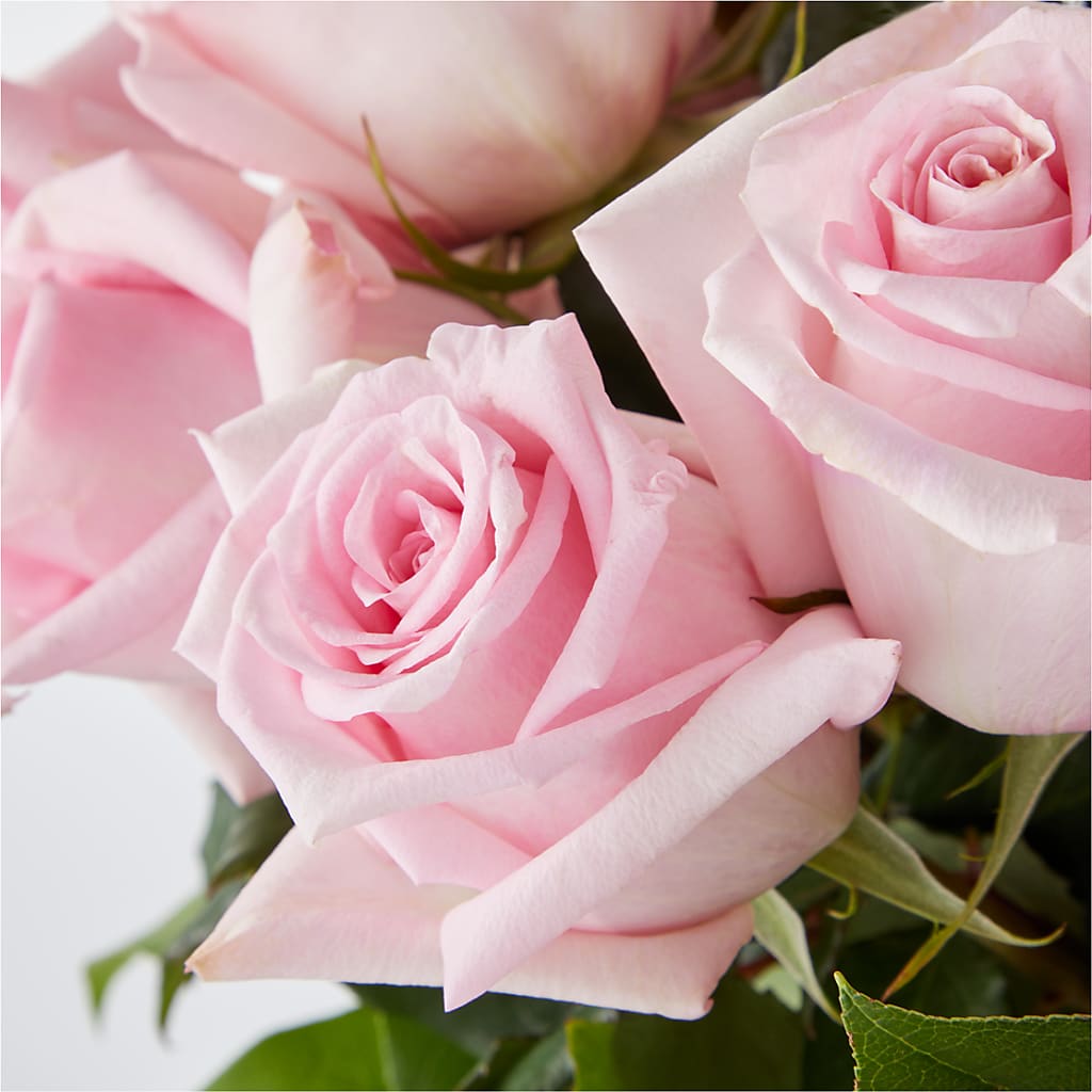 Picture Perfect Pink Rose Bouquet –  Netcong Village Florist, Netcong NJ