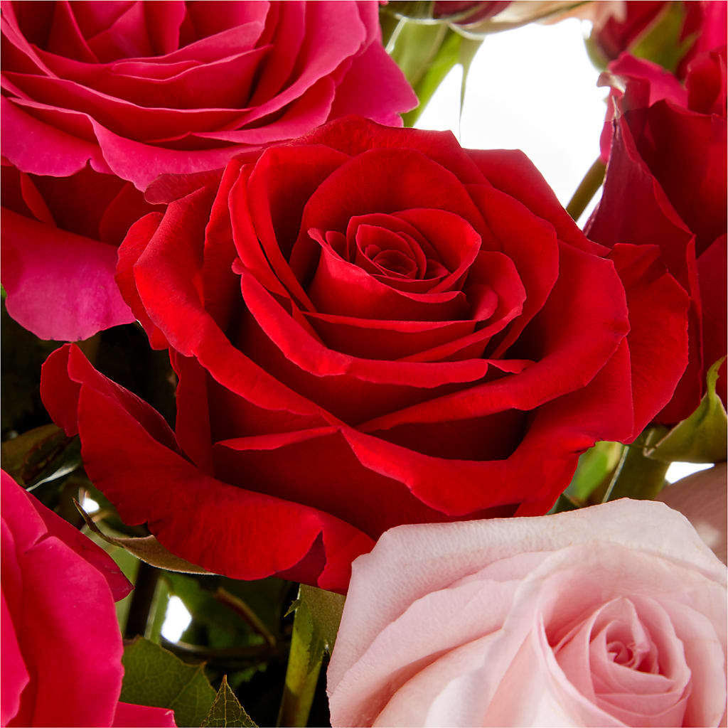 Love Notes Rose Bouquet –  Netcong Village Florist, Netcong NJ