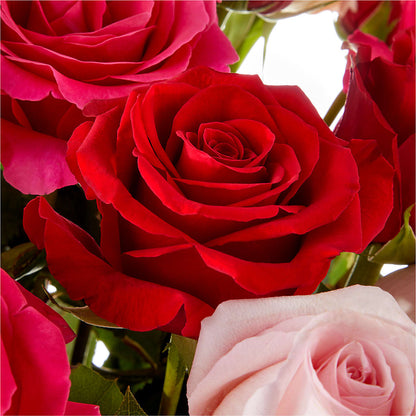 Love Notes Rose Bouquet –  Netcong Village Florist, Netcong NJ
