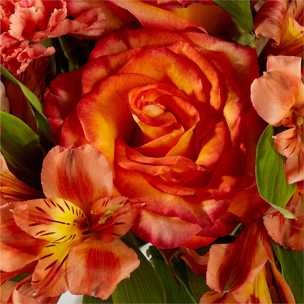 Apricot Glow Bouquet –  Netcong Village Florist, Netcong NJ