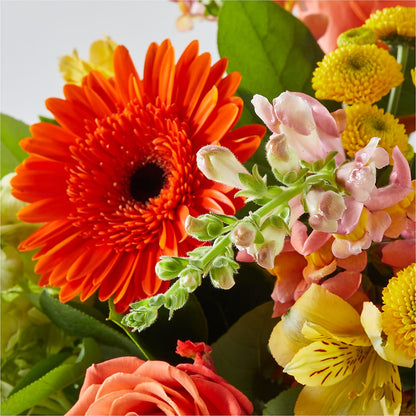 Autumn Sunshine Bouquet –  Netcong Village Florist, Netcong NJ