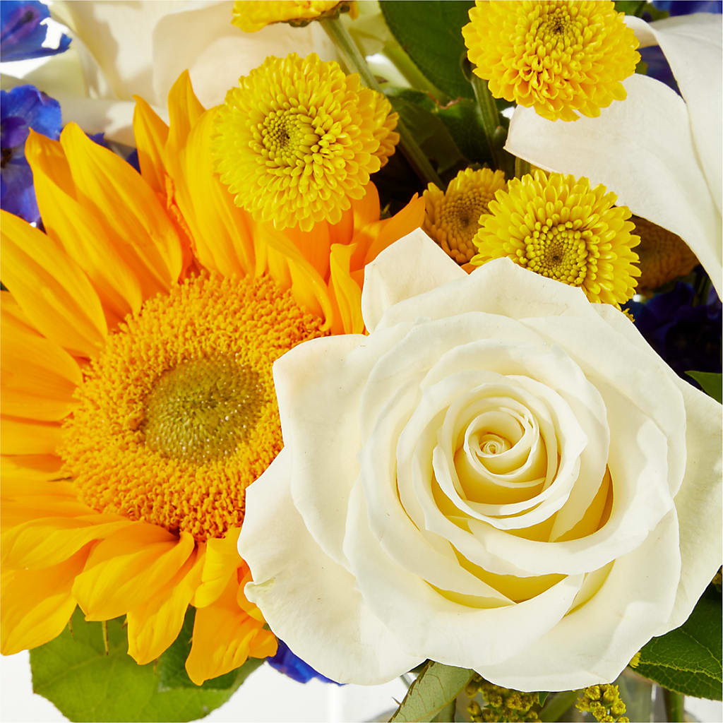 Stargazing Bouquet –  Netcong Village Florist, Netcong NJ