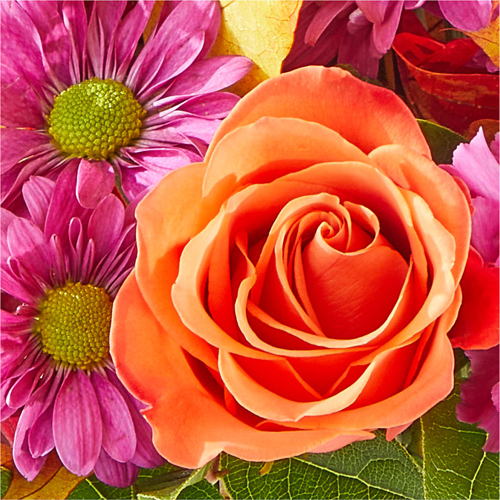 Mum's the Word Bouquet –  Netcong Village Florist, Netcong NJ