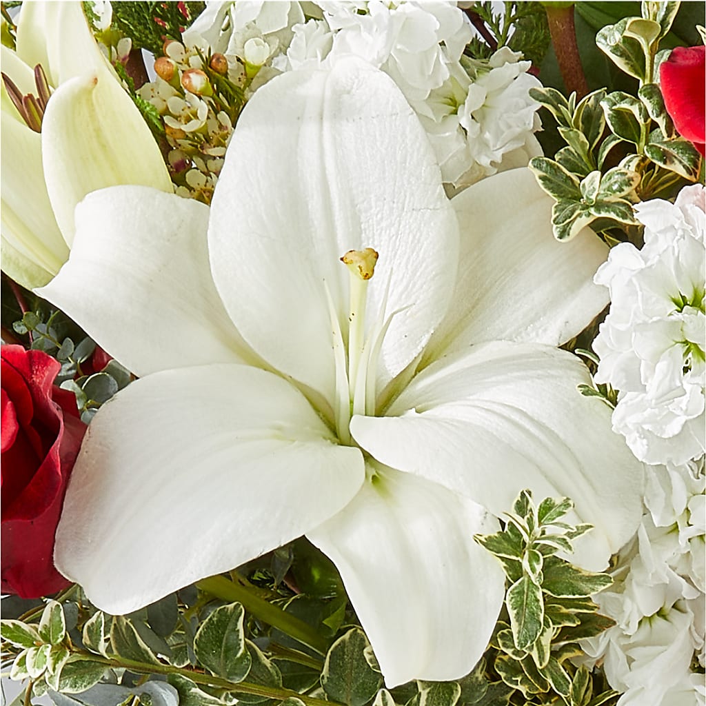 Twinkle Lights Bouquet –  Netcong Village Florist, Netcong NJ
