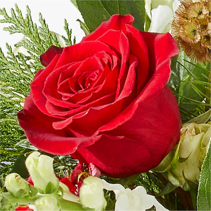 Deck the Halls Bouquet –  Netcong Village Florist, Netcong NJ