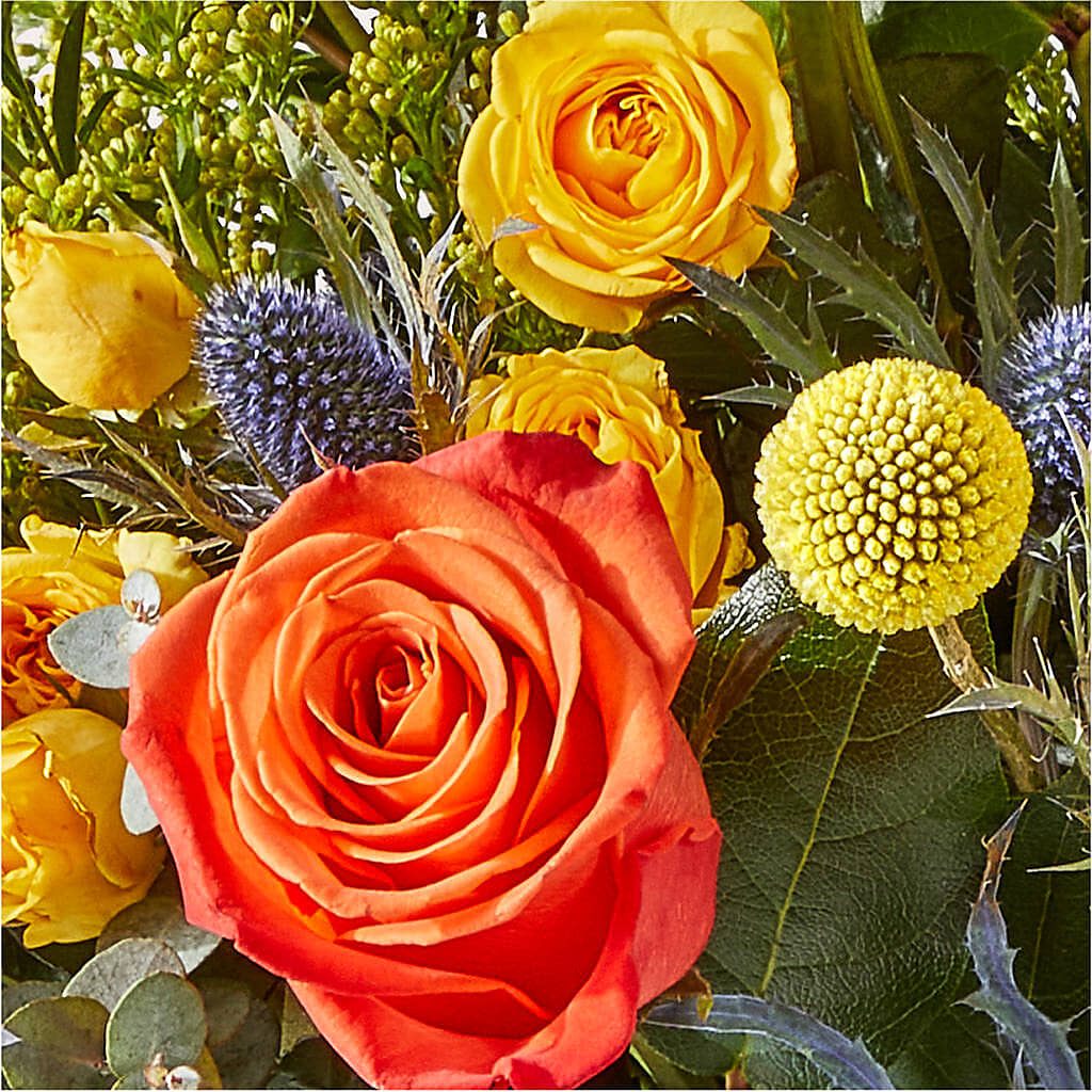 Disco Bouquet –  Netcong Village Florist, Netcong NJ