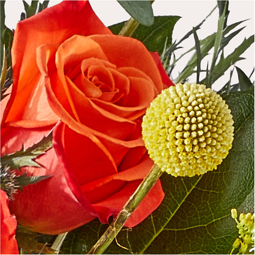 Disco Bouquet –  Netcong Village Florist, Netcong NJ
