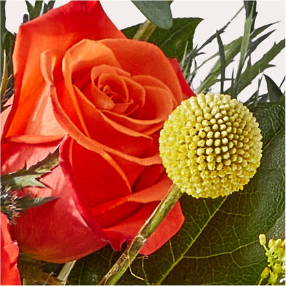Disco Bouquet –  Netcong Village Florist, Netcong NJ